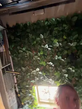 OdetteDelane live sex cam