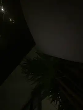 Brunettexio live sex cam