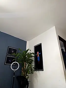 SilvaBranko live sex cam