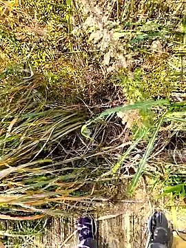 huzi518 live sex cam