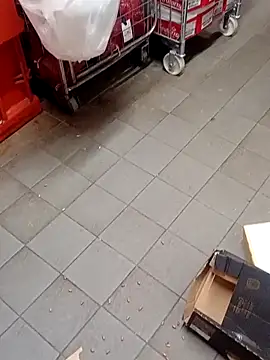 Piroca_meladinha live sex cam