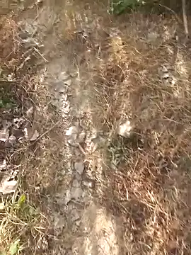 FinableKnee live sex cam