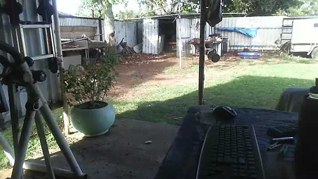 herbie010666 live sex cam