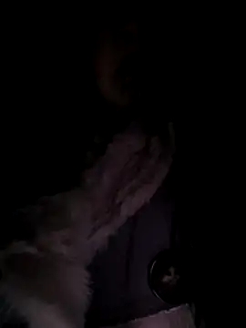 wsyx326 live sex cam