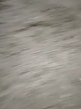 Labellasex live sex cam