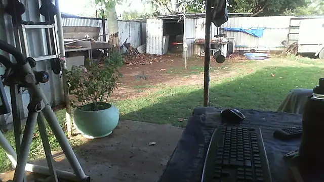 herbie010666 live sex cam