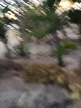 Labellasex live sex cam