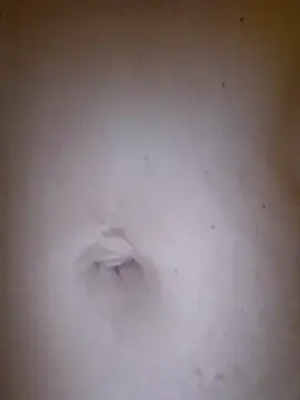 Dayana2022 live sex cam