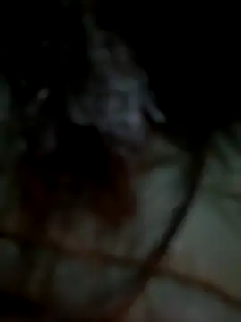 Carola-Ross live sex cam