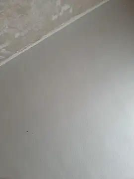 Playfulcubb live sex cam