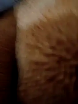 CUTE-GIRL-1 live sex cam