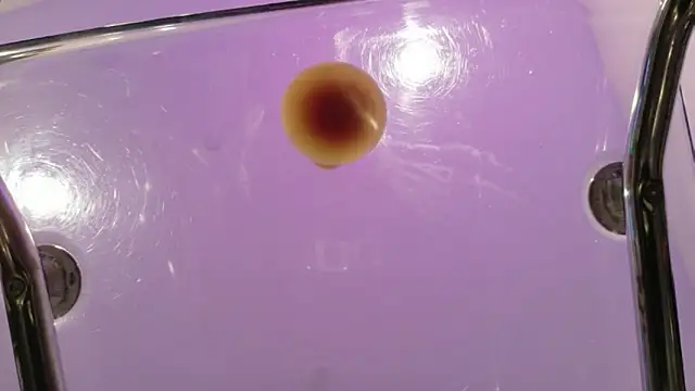 Midnightrose11 live sex cam