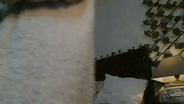 Dama_Scarlata18 live sex cam