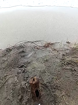 IaDoherty live sex cam