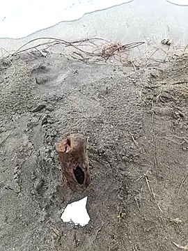 IaDoherty live sex cam