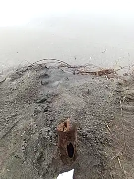 IaDoherty live sex cam