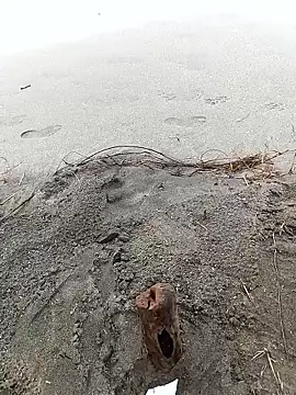 IaDoherty live sex cam