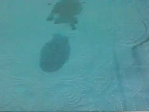 7_INCH_MONSTER live sex cam