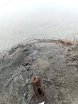 IaDoherty live sex cam