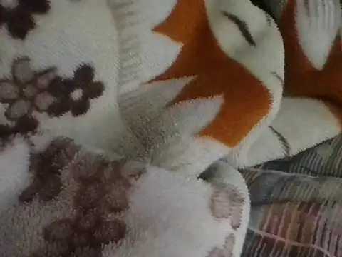 AKANSHA_7 live sex cam