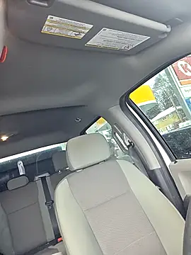 Beardedtattood live sex cam