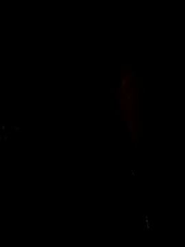 Turkishleo live sex cam