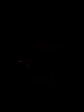 Turkishleo live sex cam