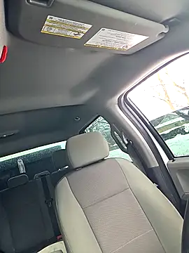 Beardedtattood live sex cam