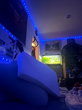 Toyjungee live sex cam