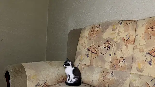 Marinpeach live sex cam