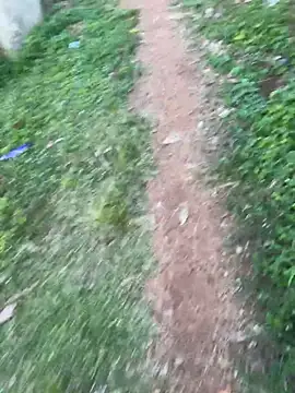 Black-mamba-madingo live sex cam