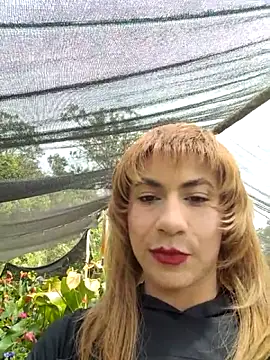 Evehamp live sex cam