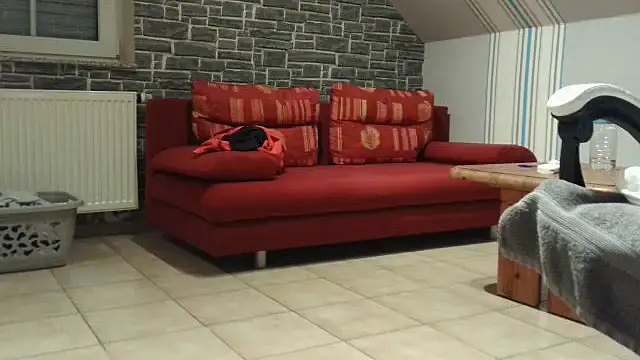 vers92_seb live sex cam