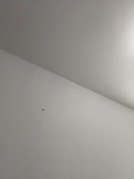 NaomiGrace_ live sex cam