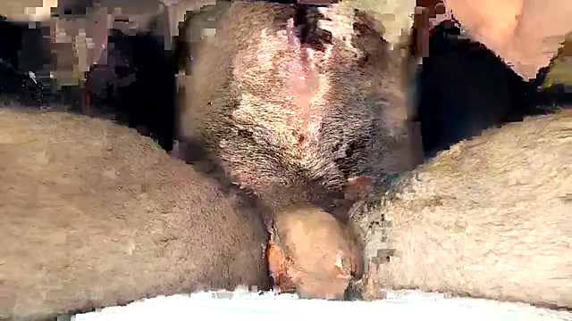 LapijARG7 live sex cam