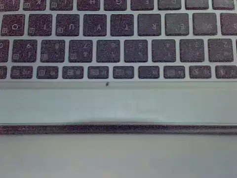 Delicious-D live sex cam