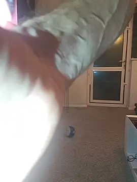 Adam11699 live sex cam