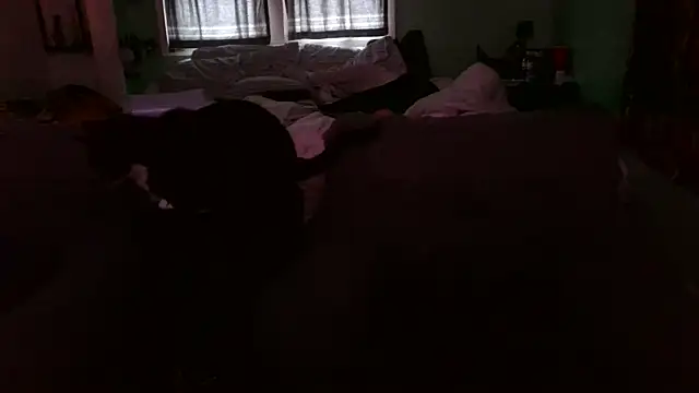 versatilevortex live sex cam