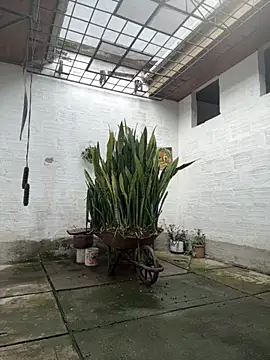 oliver_price1 live sex cam