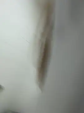 alicee16 live sex cam