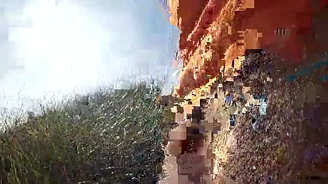 dog-naked live sex cam