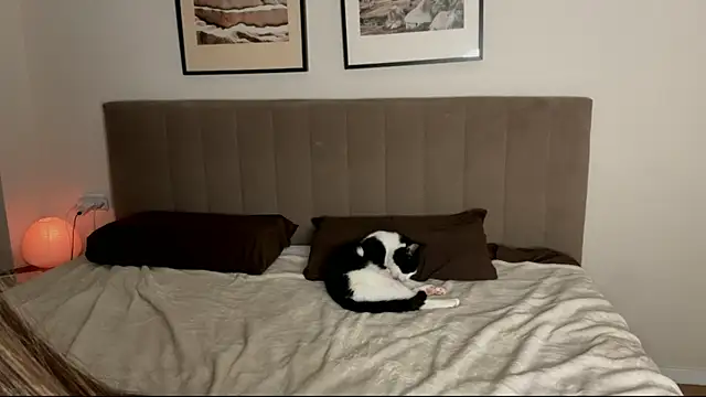 aryamirelle live sex cam