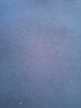 MaiseKnox live sex cam