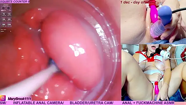 MaryBrook1 live sex cam