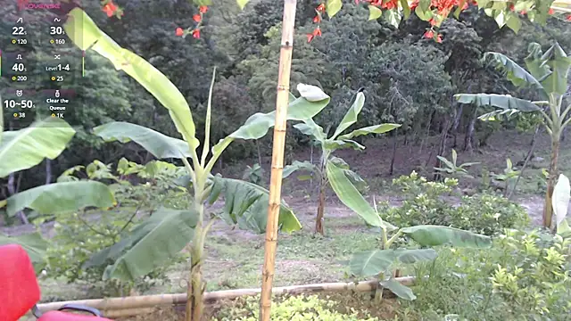 andreu_mature live sex cam