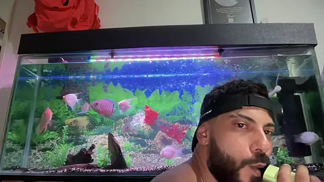 romeolovedark live sex cam