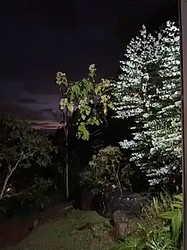 Rose-andres live sex cam