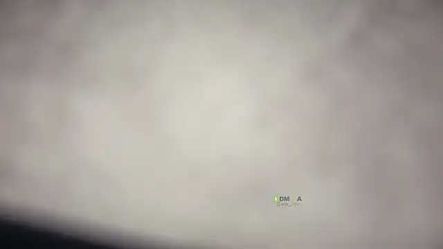 evairon_couple live sex cam