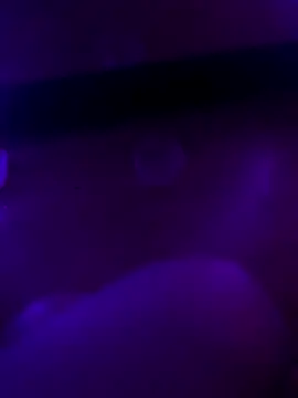 Brandi_Braulio's cam snapshot