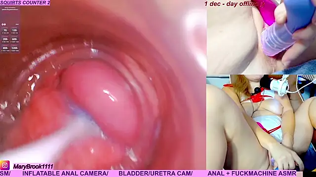 MaryBrook1 live sex cam